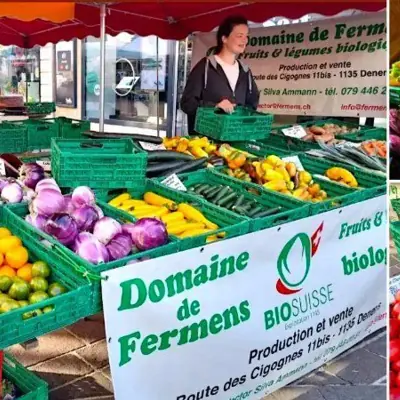 Un étal de fruits et légumes du marché.